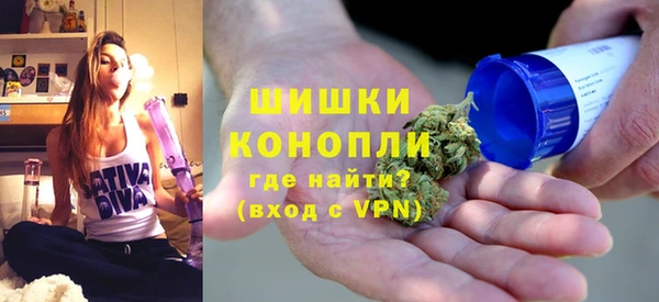 бошки Белокуриха
