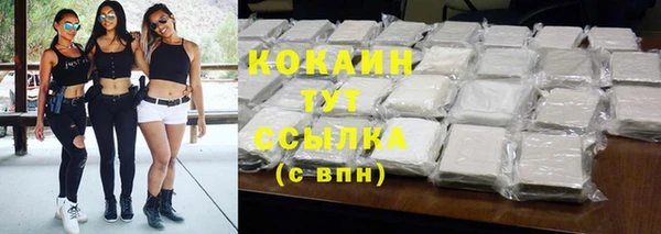 бошки Белокуриха