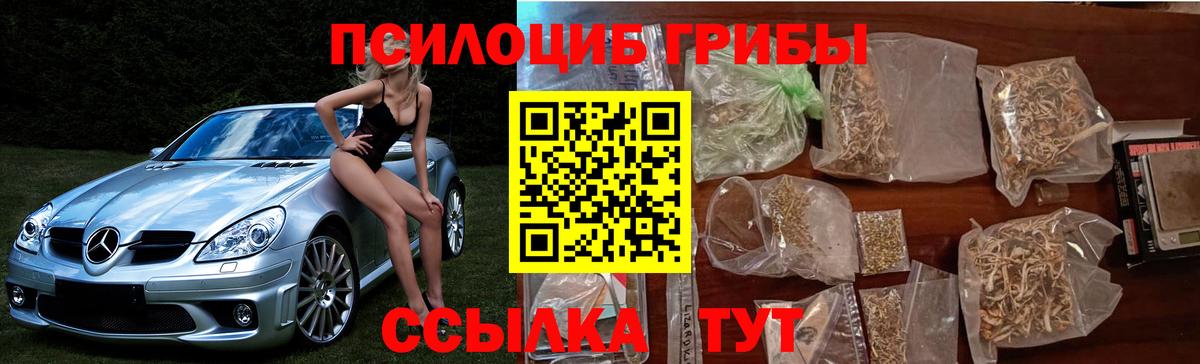 Галлюциногенные грибы MAGIC MUSHROOMS  Вход с VPN  Галлюциногенные грибы Magic Shrooms  Сердобск 